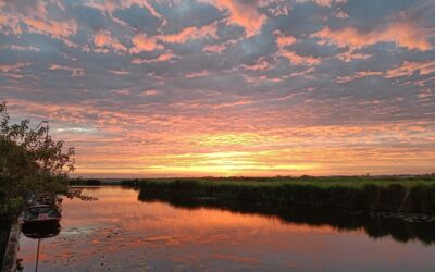 Fluister/vogeltocht door de Eilandspolder